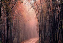 罗滕批评姆巴佩:一到大赛就隐身,我对他的态度很不满.