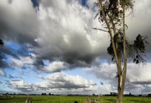 东升国际体育：[欧冠开场哨]多特蒙德“英格兰天才”：吉滕斯.