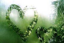 东升国际体育:中国队第四次夺得轮椅冰壶世锦赛冠军2025-03-10.