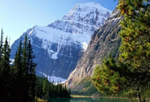 ACAMIS 2025:国际学校游泳盛宴,青春泳姿闪耀赛场.