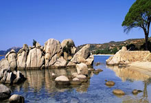 东升国际体育：[高尔夫]汇丰女子世界锦标赛本周打响 殷若宁等齐聚新加坡.