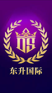 东升国际 (中国大陆)官方网站首页-welcome